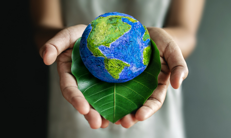 Is sustainability important for your business?