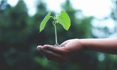 The Pillars Of Organic Marketing You Should Never Overlook