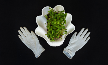 Understanding Your Options For A Greener Life