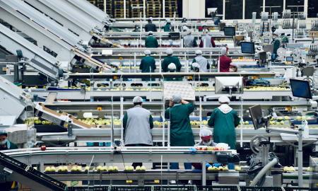 Unlocking Productivity: The Hidden Cost of Inefficiency